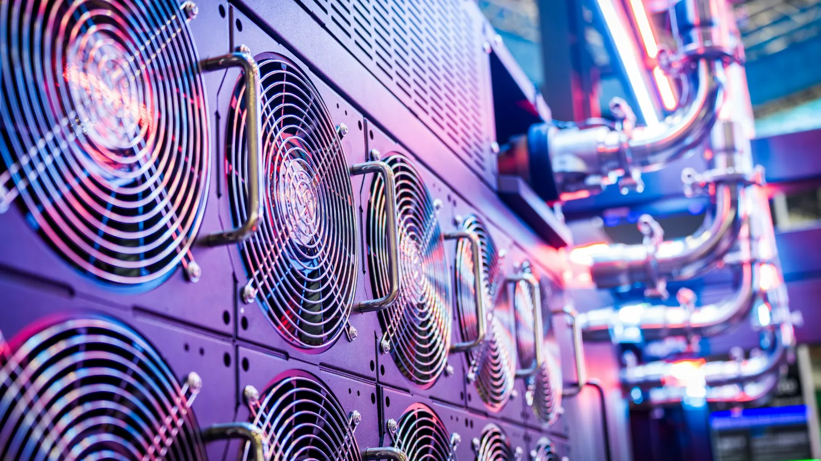 Rows of server cooling fans glowing in a data center, the kind of hosting hardware a WordPress site runs on